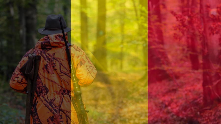 The Belgian Hunting Permit: What You Should Know